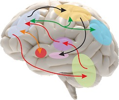 Stress Terapi - krop, sind og nervesystem