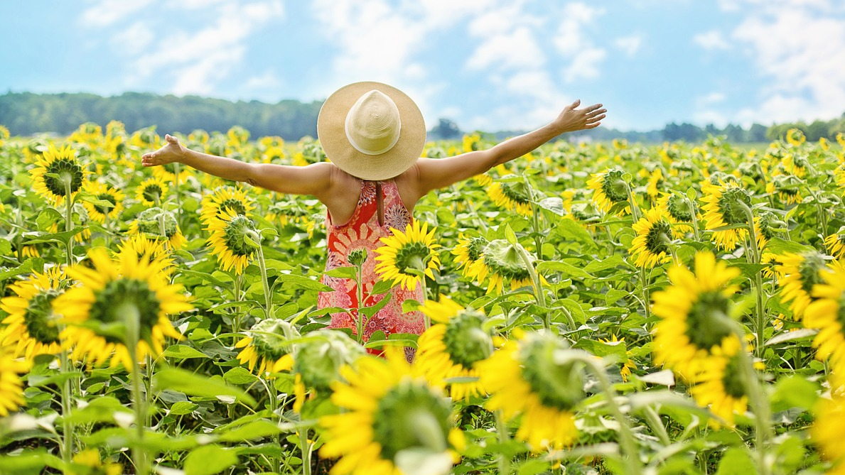 Bliv din egen og/eller dit barns egen helbreder kursusforløb.
